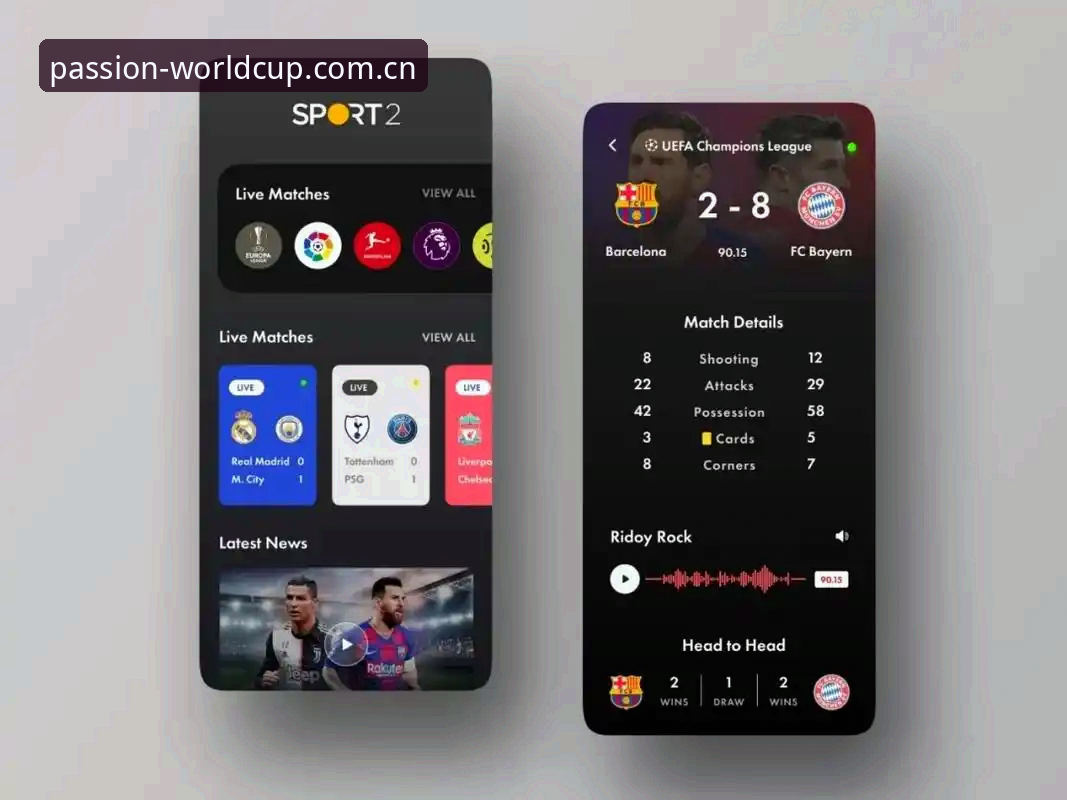 世界杯官方APP完整使用指南：从下载到账户注册的常见问题详解